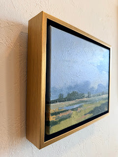 Cloud & Meadow